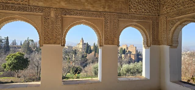 daeyoung C.의 사진 1 (25. 1. 22.)