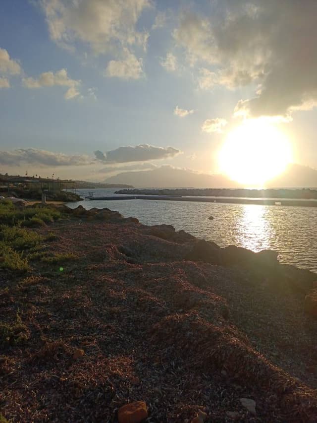 Zdjęcie wykonane przez Slawek S. (4.10.24)