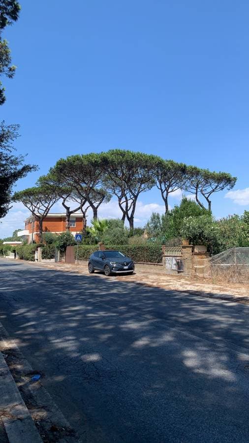 Photo 1 by Shuyan D. about renting a Fiat Panda in Rome (8/27/24)