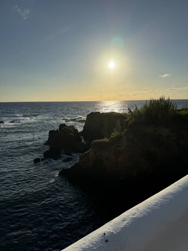 Photo 4 by Harold O. (9/11/24)