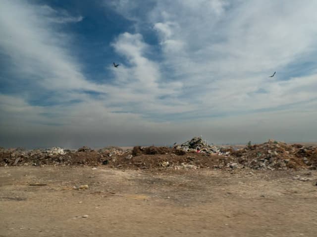 Zdjęcie 1 wykonane przez Joanna H. (21.12.24)