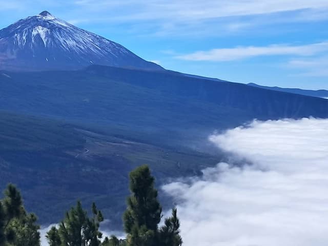 Foto 4 di PAOLO T. (14/02/26)