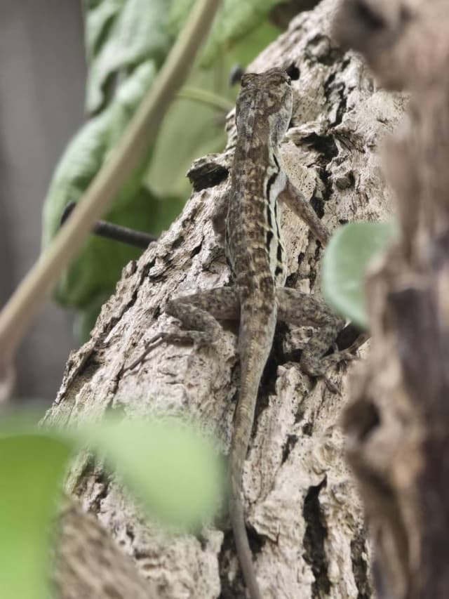 Photo 1 by E.D. S. (9/18/25)