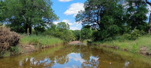 Billede 2 af Niels Birk Amdi I. (21.2.26)