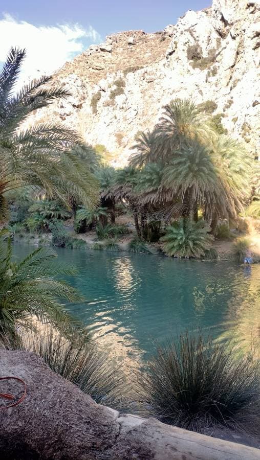 Fotografia 3 realizată de Silvia G. (09.10.25)