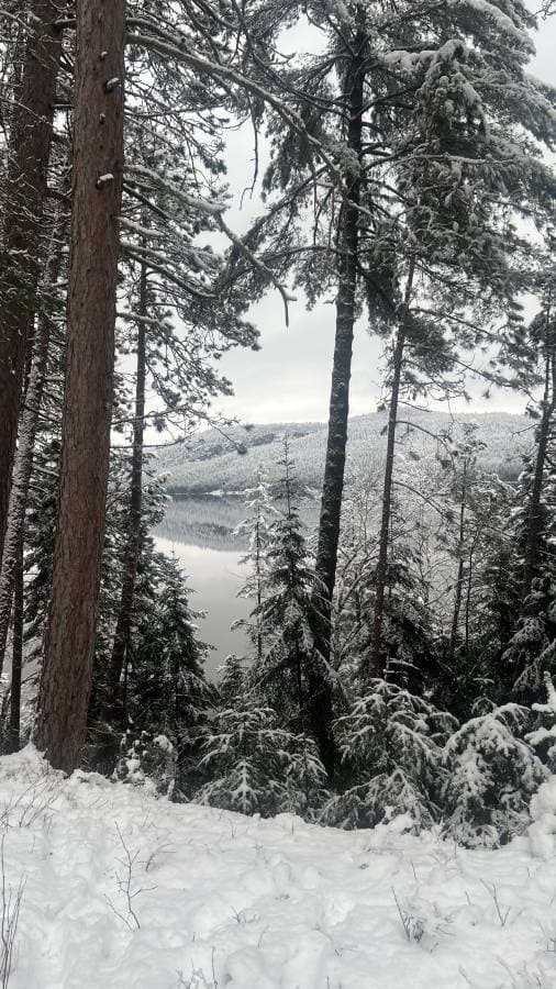 Photo 2 by Morgan R. about renting a Toyota Corolla in Ottawa (12/20/22)