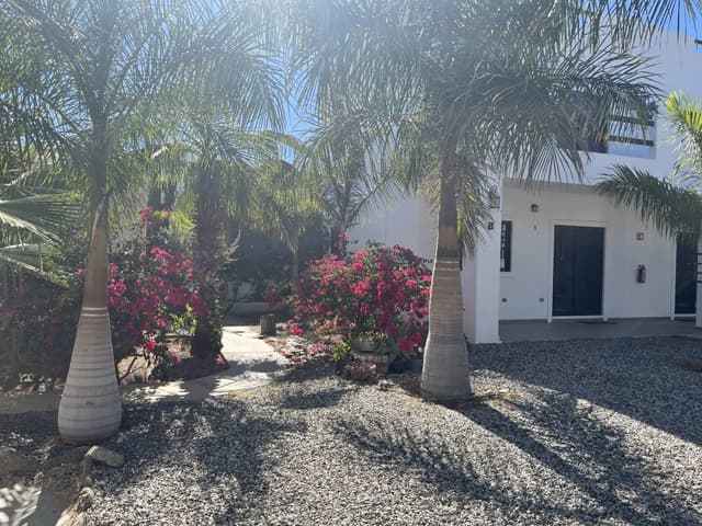 Photo 1 by Adrian P. (3/12/26)