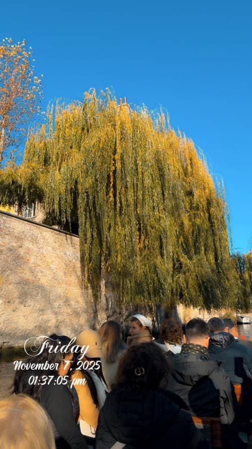 Photo 4 by Mohammad K. (12/1/25)