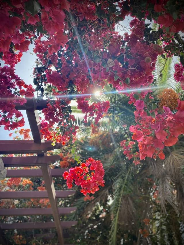 Foto 2 van Mark B. (11-10-23)