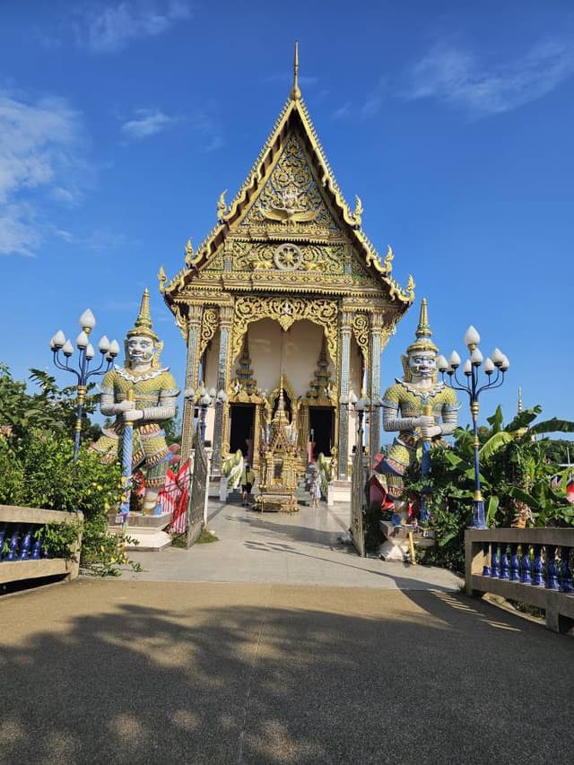 Photo 2 by OREN B. (3/18/25)