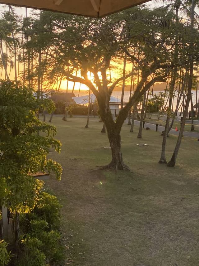Photo 2 by Kiri L. about renting a Toyota Wish at Nadi Airport (9/27/25)