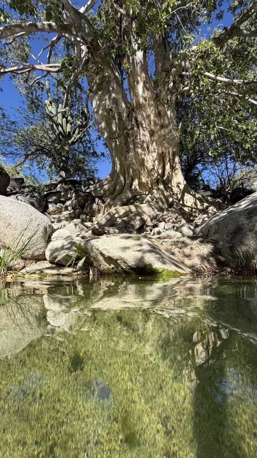 Photo 1 by Sasha F. (10/31/25)