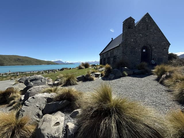 Photo 1 by Terry L. (11/25/25)