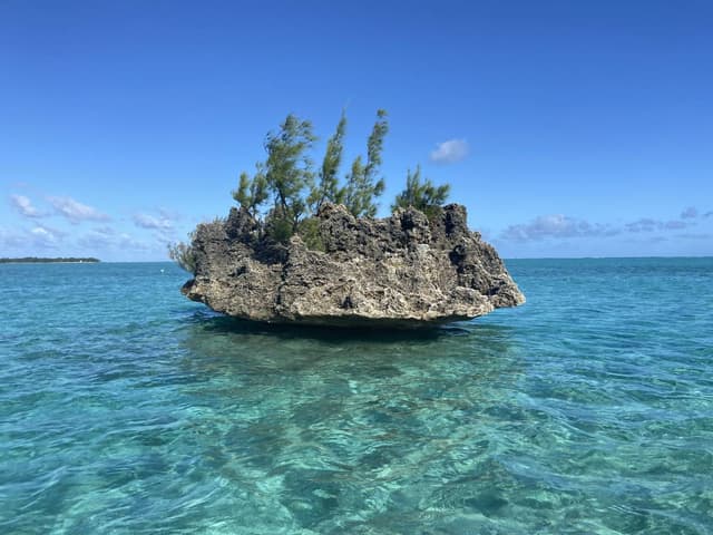 Photo 2 by Terence W. about renting a Nissan Micra in Mauritius (6/5/23)