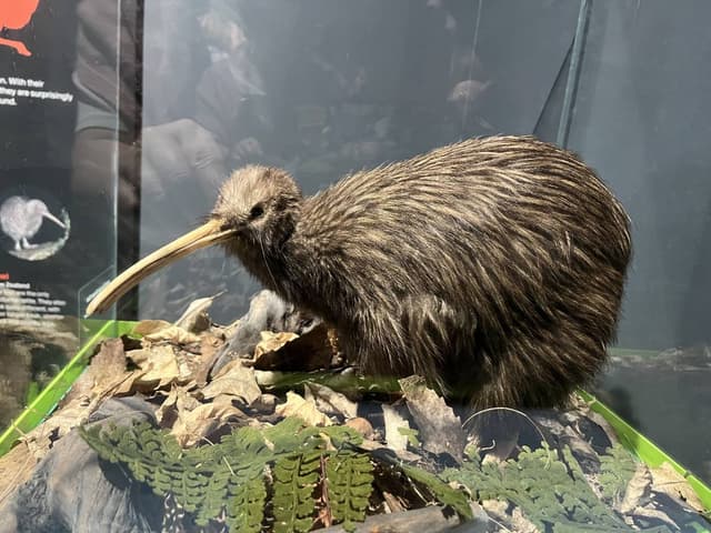 Jeeyoung K.의 사진 2 (25. 3. 12.)