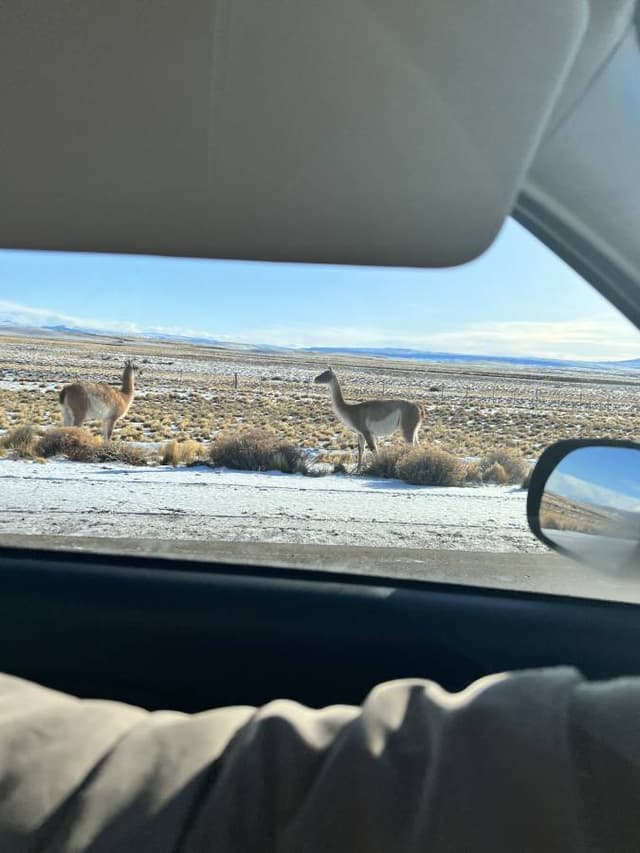 Photo 1 by Blake Z. about renting a Nissan March at El Calafate Airport (7/27/22)