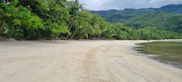 Photo 3 by Alberto C. about renting a MG ZS at Seychelles International Airport (2/13/25)