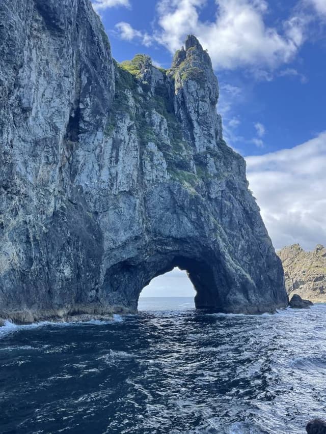 Photo 1 by Malcolm S. (11/3/25)