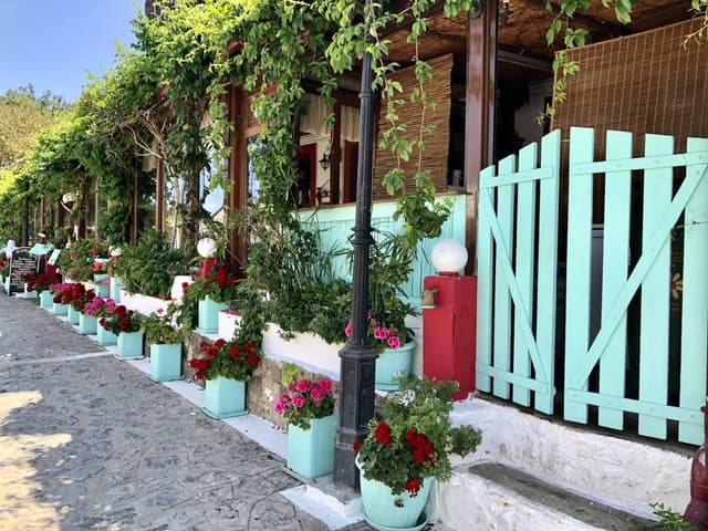 Foto 2 van Eveet B. (25-5-23)