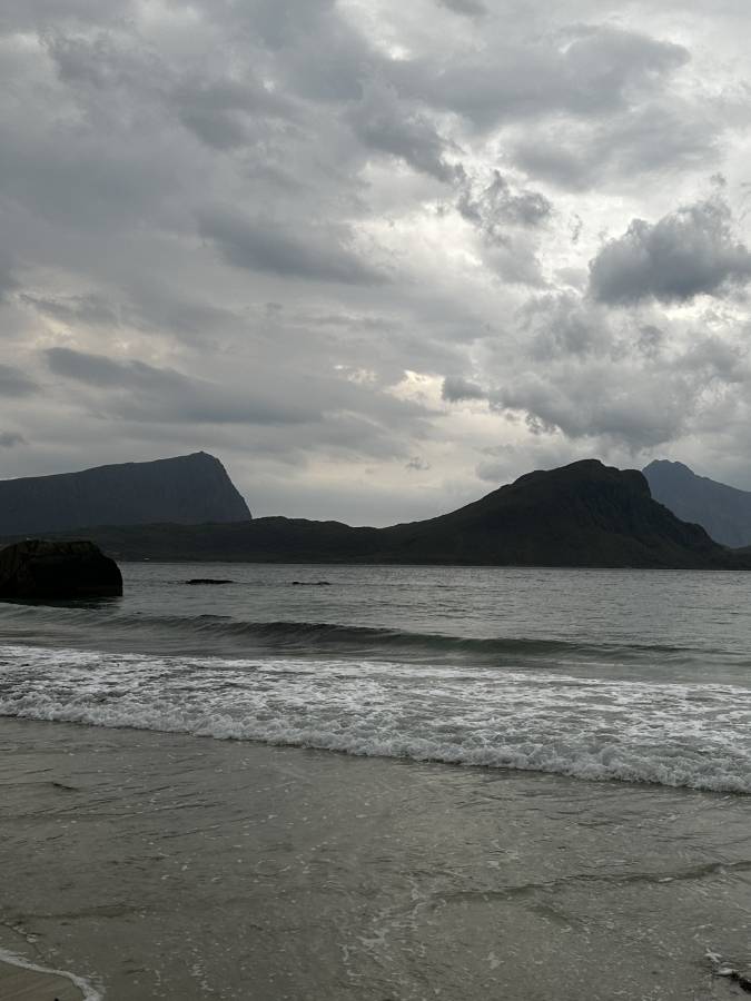 Photo 3 by Sunaina S. (9/12/23)