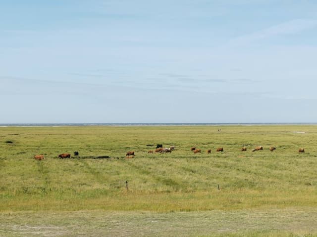 Foto 2 von Franz L. (17.7.23)