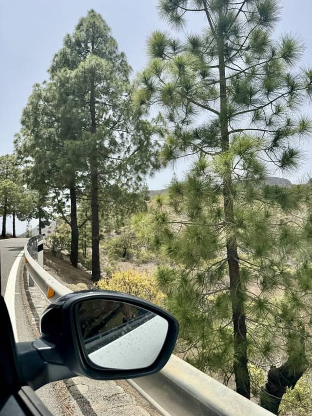 Foto di Christian P. sul noleggio di una Citroen C3 all’aeroporto di Las Palmas (06/06/25)