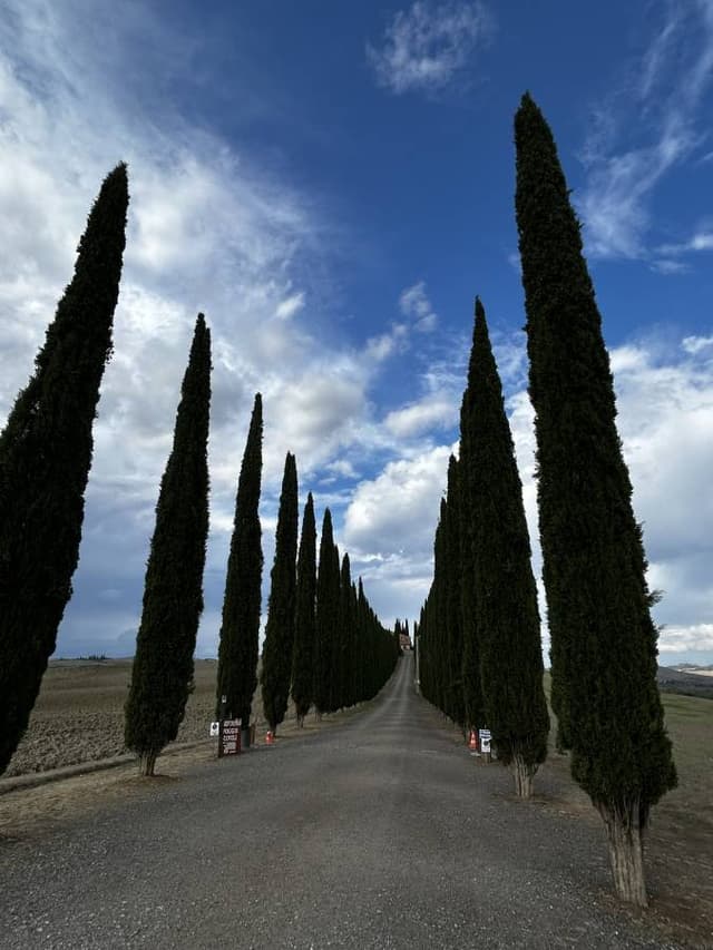 Byunguk C.의 사진(24. 10. 1.)