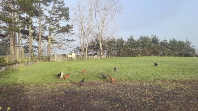 照片1,由YI S.提供(24/7/21)