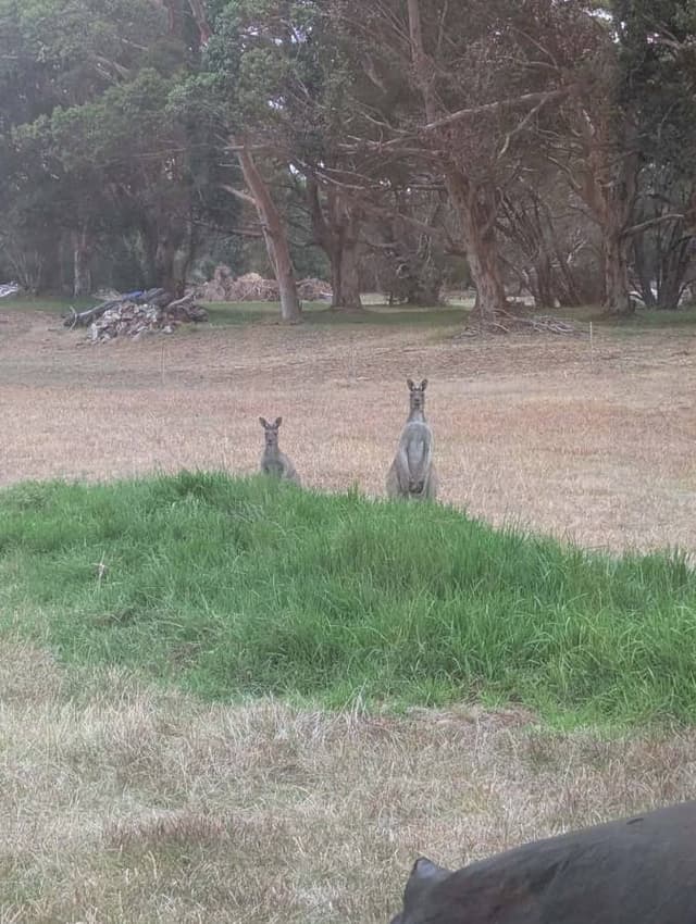 Photo 2 by Leslee R. (4/10/26)