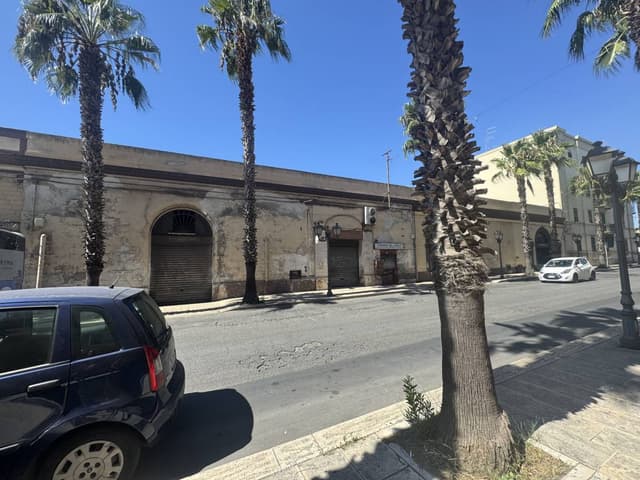 Photo 3 by Diana H. (9/12/25)