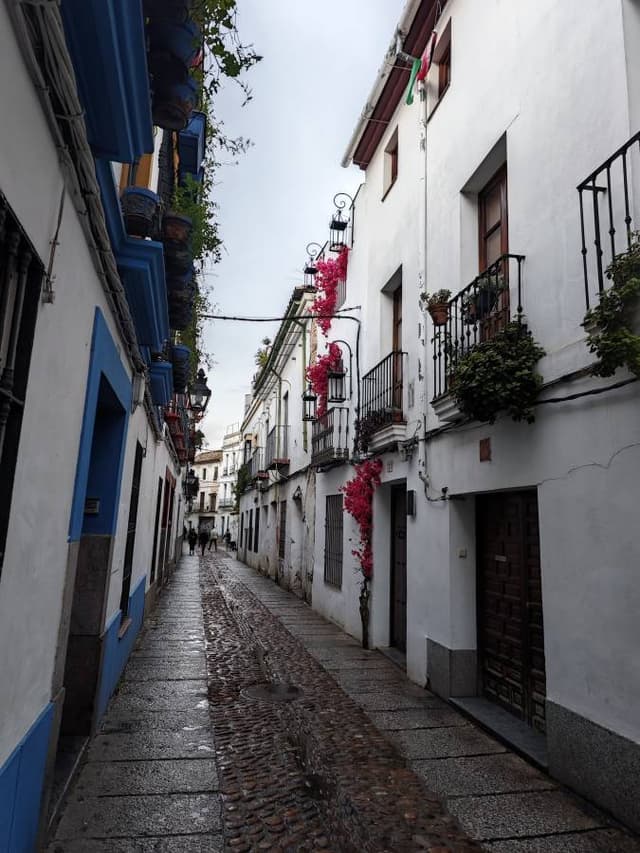 Zdjęcie 2 wykonane przez Marek L. (15.02.26)