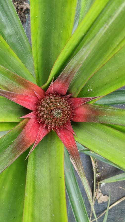 Photo 2 par GERALD G. (21/10/23)