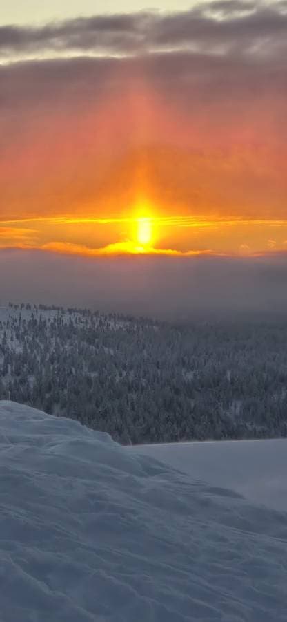 Foto 3 van Riette M. (25-1-26)