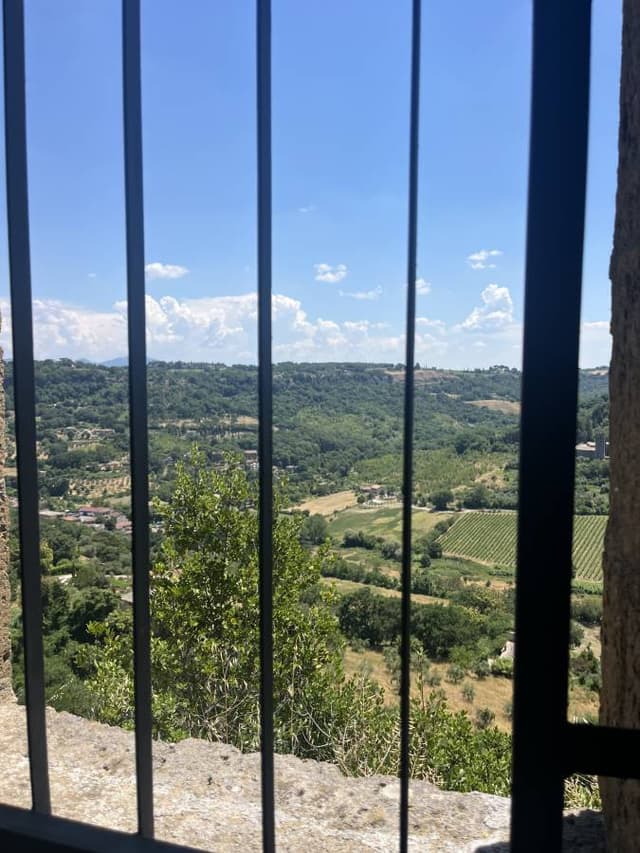 Photo 2 by Christopher P. (7/1/26)