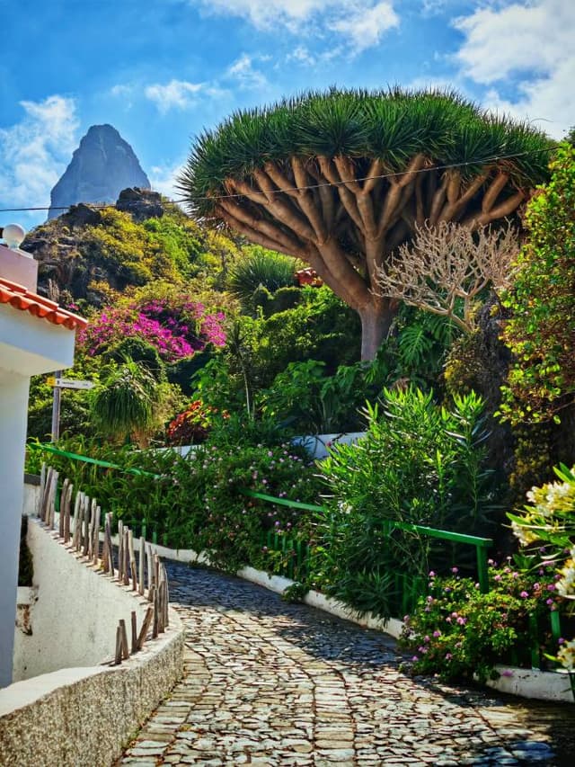 Foto 4 od Libor K. (15. 8. 25)