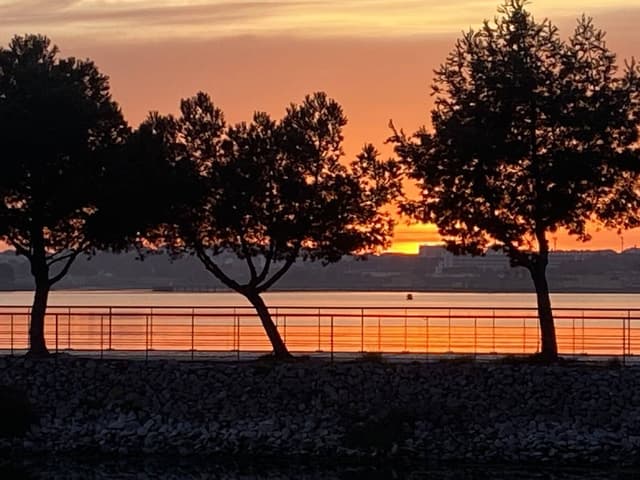 Photo 4 by Eon B. (2/12/24)