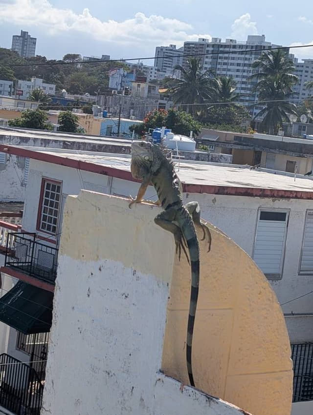 Photo 1 by STEVEN V. (2/17/26)