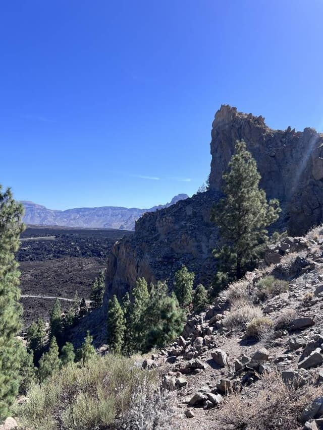 Foto 1 van Tom V. (12-11-25)