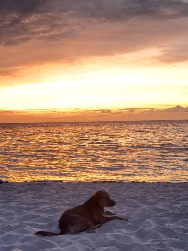 Foto 2 de GERARDO ANTONIO M. (20/8/25)