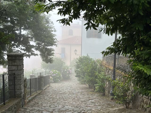 Foto 1 van Gerda V. (30-6-24)