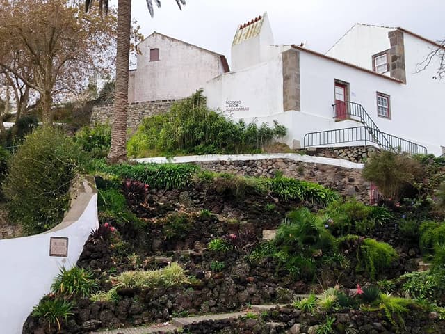 Foto 1 de Vanesa F. (17/11/23)