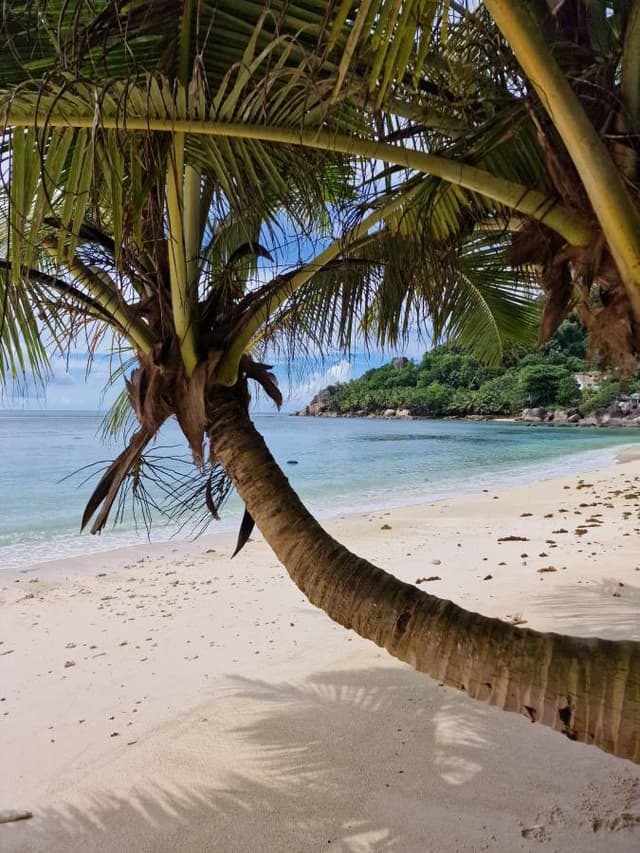 Photo 2 par Dominique B. (06/01/24)