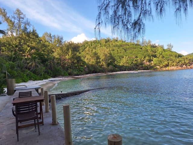 Photo 1 by Gunther N. (2/9/26)