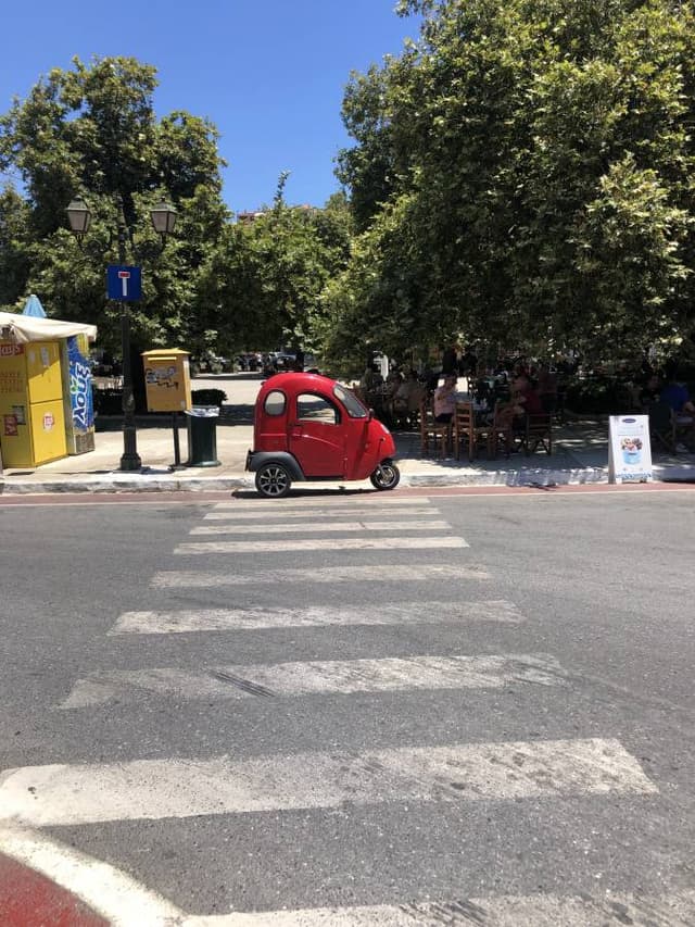 Photo by Harvey B. (7/25/22)