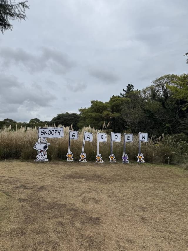 Photo 2 by Katarina L. (11/13/25)