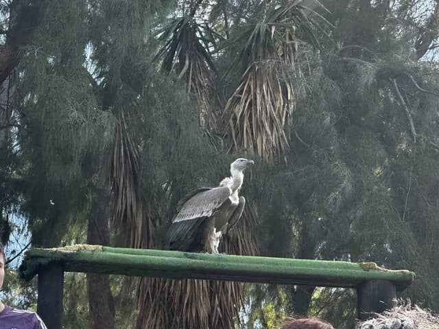 Photo 5 by Kestutis N. about hiring a Peugeot 2008 at Lanzarote Airport (03/01/26)