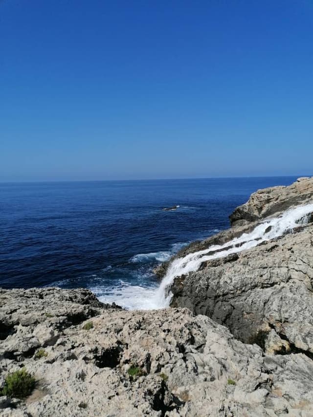 Foto 1 di Giuseppina D. (04/06/23)