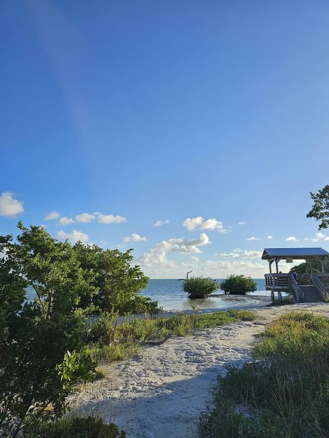 Photo 3 par Marco C. (17/11/23)