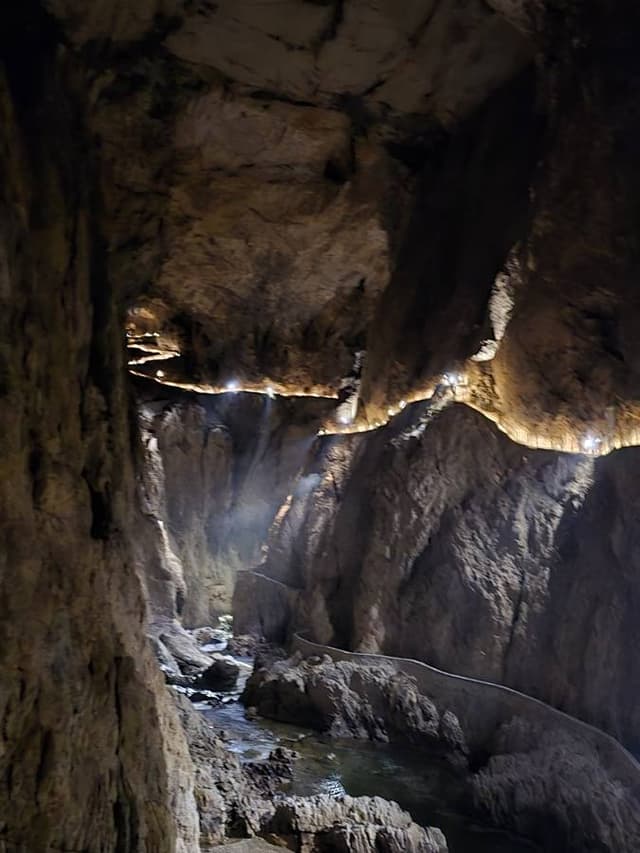 Photo 3 by Stephen P. (4/9/26)