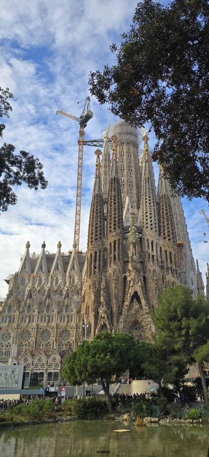 daeyoung C.의 사진 2 (25. 1. 22.)